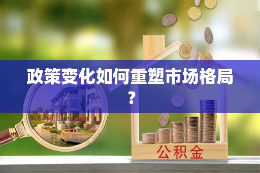 月湖政策变化如何重塑市场格局？