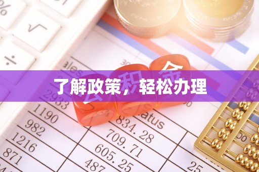 月湖了解政策，轻松办理
