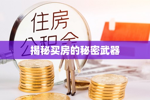 月湖揭秘买房的秘密武器