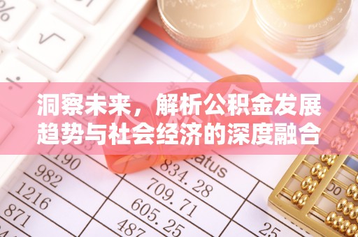 月湖洞察未来，解析公积金发展趋势与社会经济的深度融合
