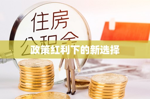 月湖政策红利下的新选择