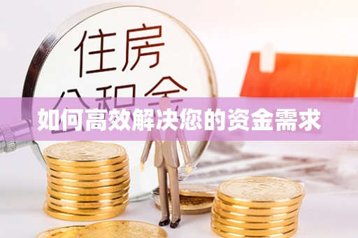 月湖如何高效解决您的资金需求
